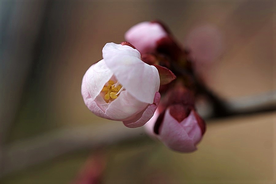 벗 018 0.JPG