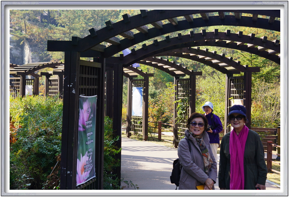 1_171025-1 (12).JPG