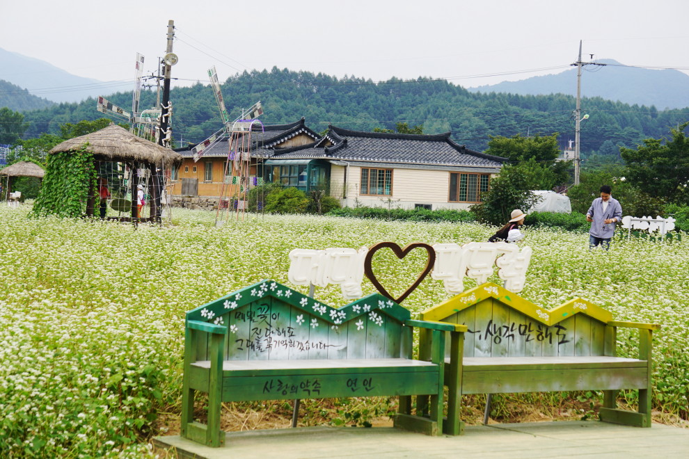 DSC075120027.JPG
