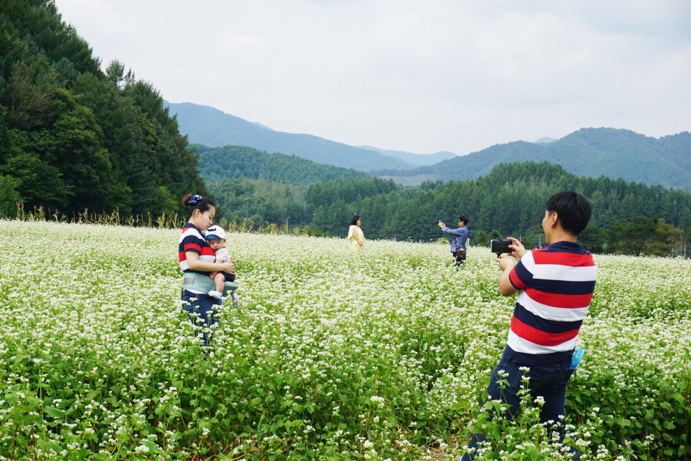 DSC074770013.JPG