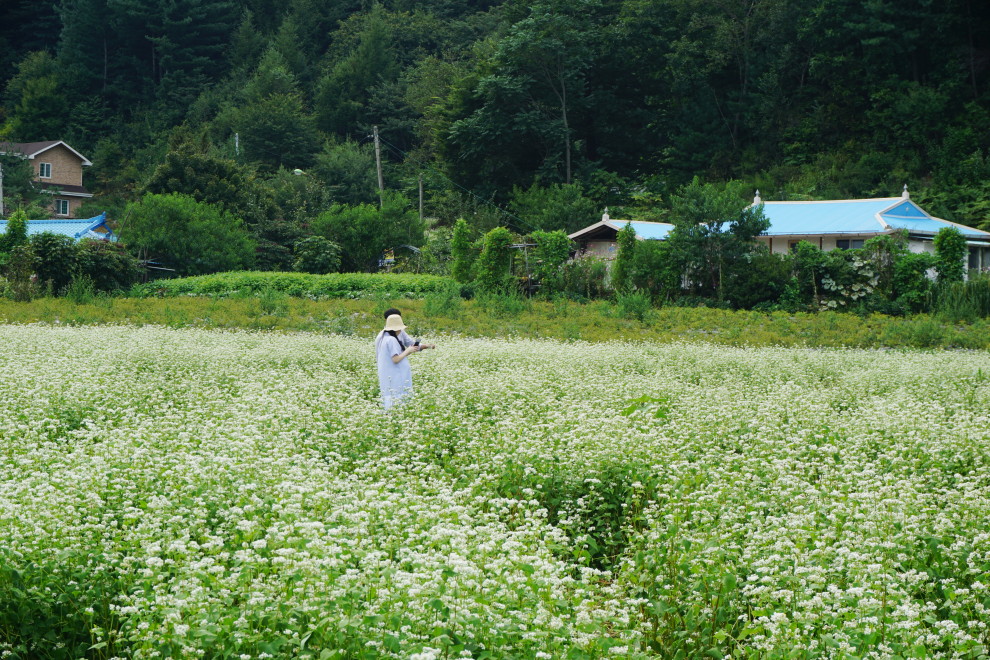 DSC074830015.JPG