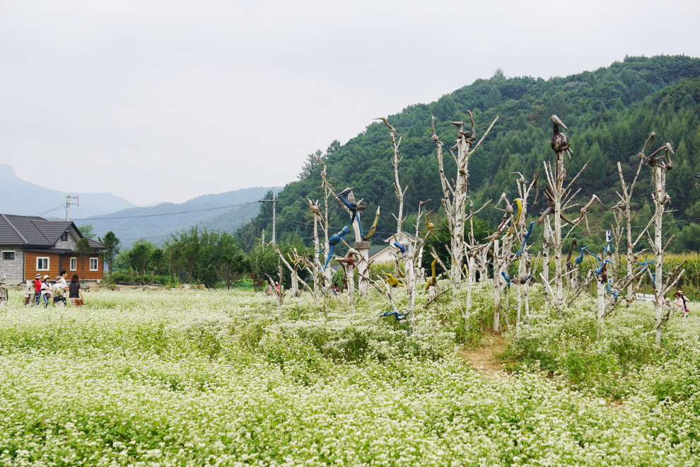 DSC075140028.JPG