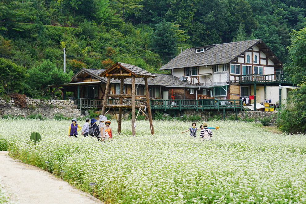 DSC075150029.JPG