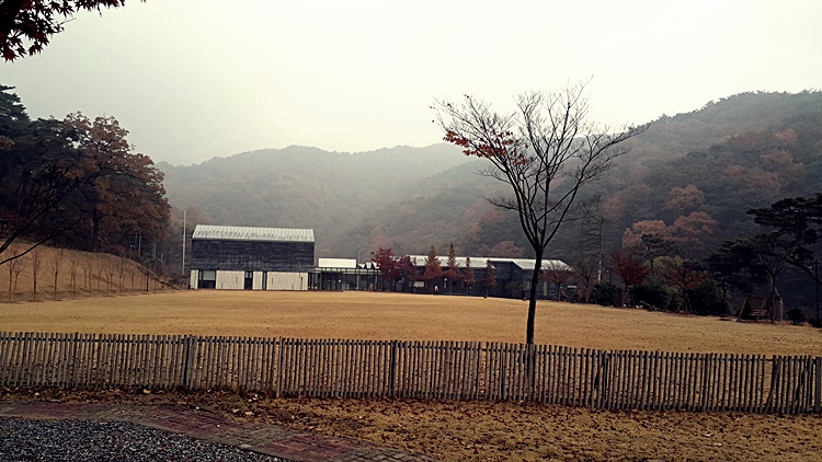 20171108_082026 - 복사본.jpg