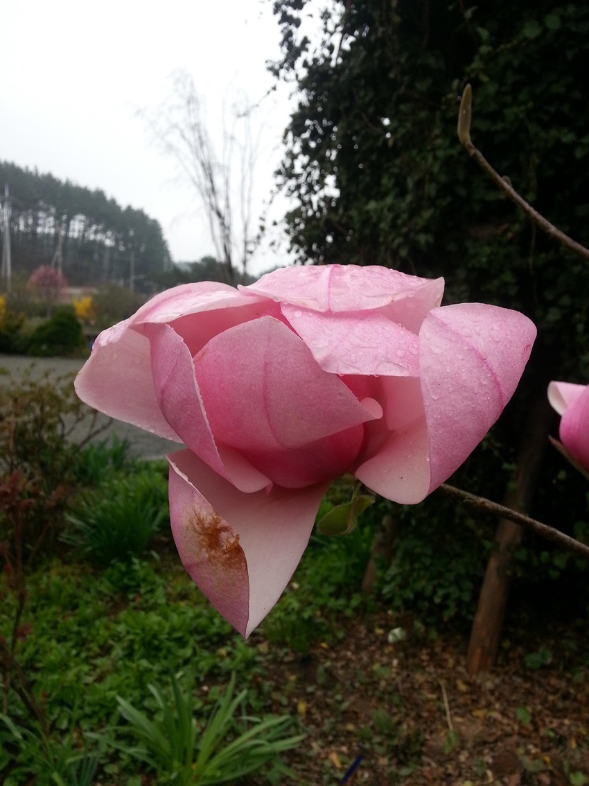 정255bd71ee4ddc704d6e65838dc640ca5.jpg