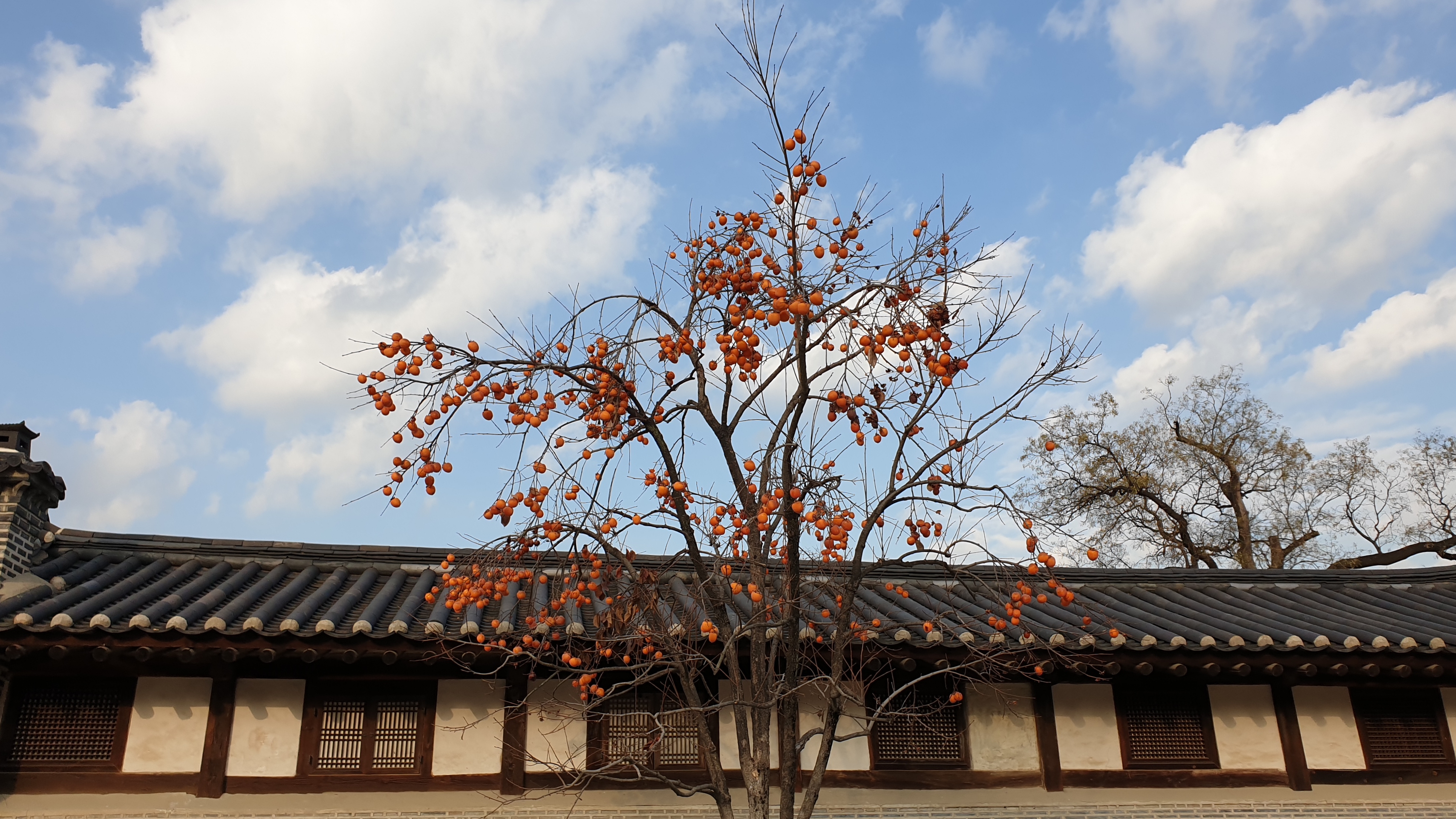 20191204_222657.jpg
