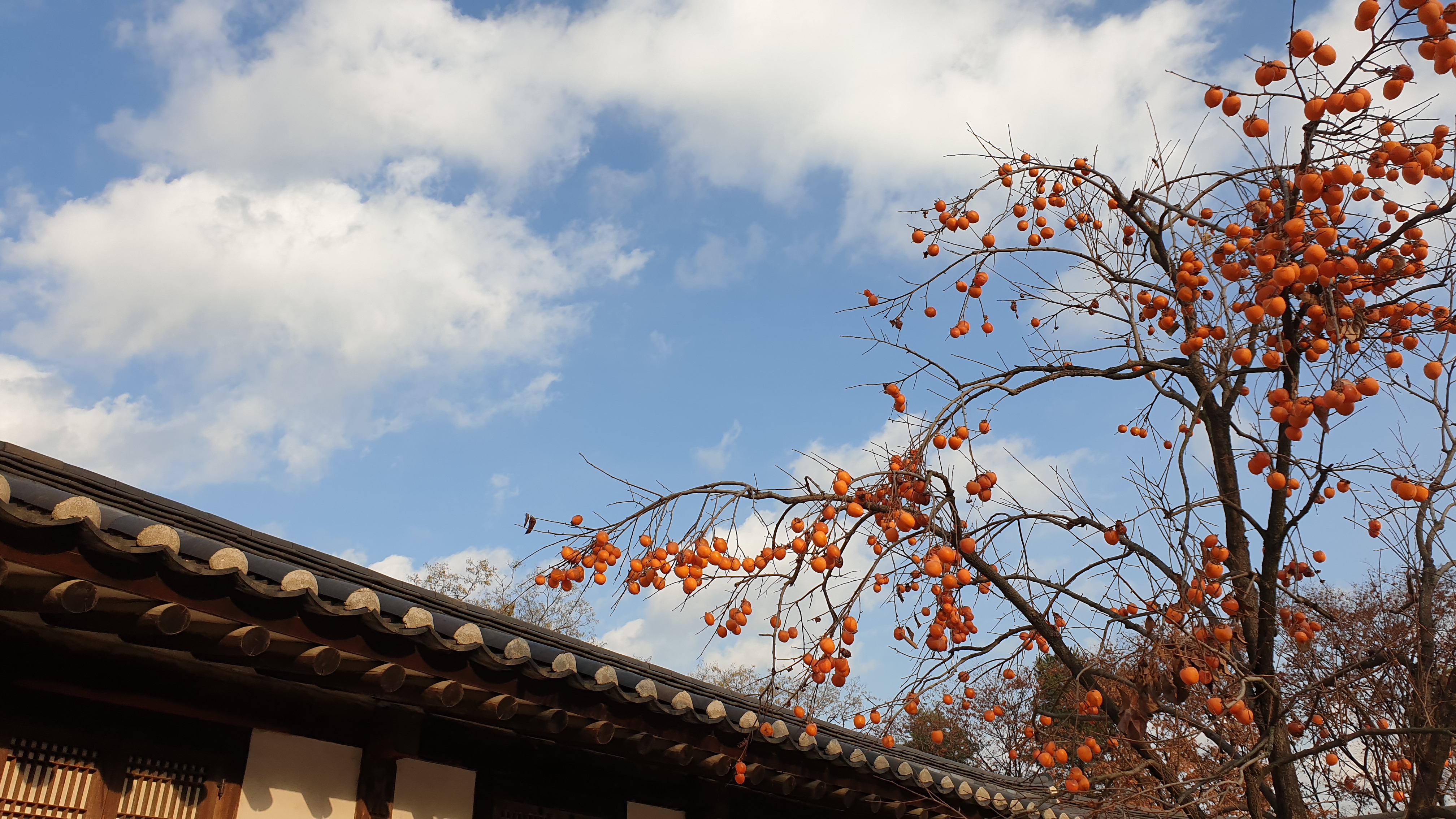 20191204_152229.jpg
