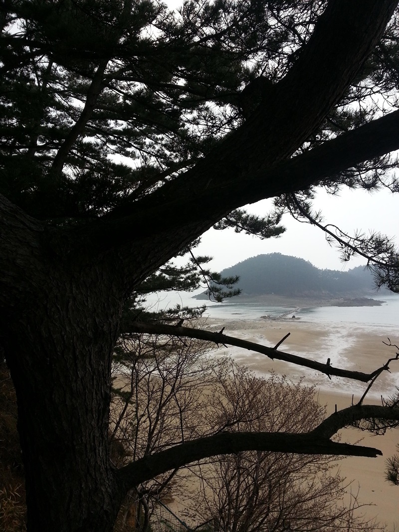 정47078aed5c49fd128ae7e301a850d6e2.jpg