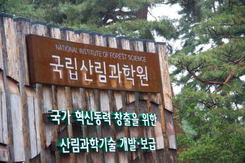 꾸미기_꾸미기_AIMG_1281.jpg