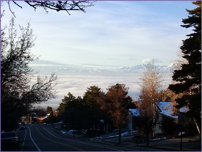 P01.jpg