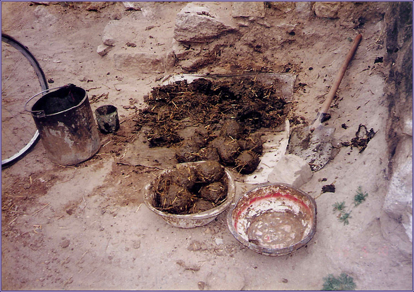 P11.jpg