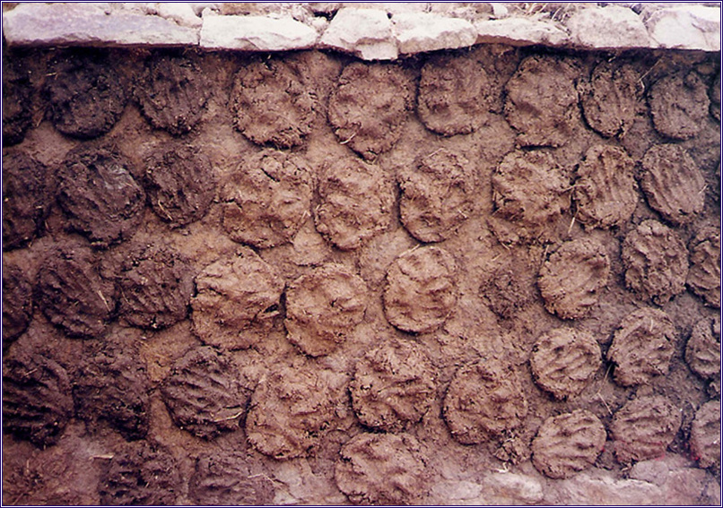 P13.jpg