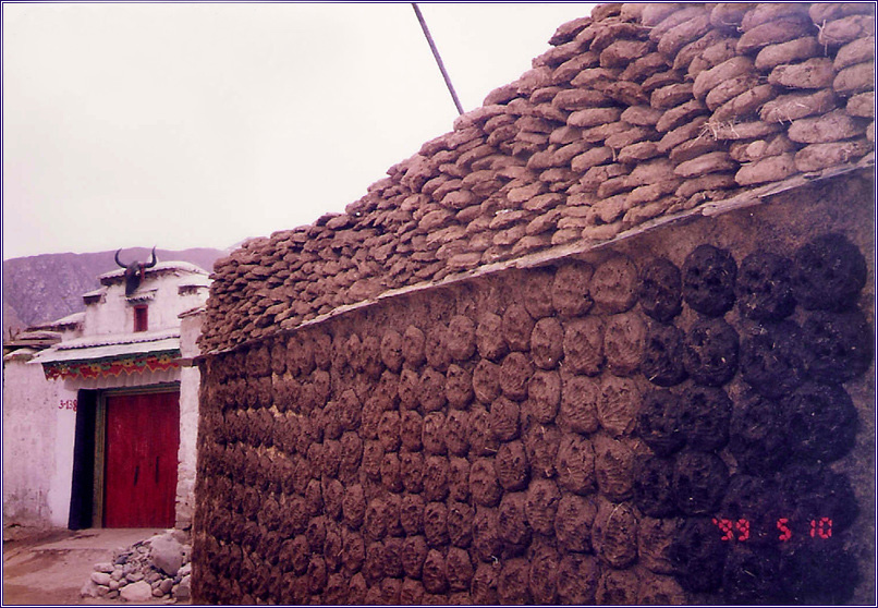 P12.jpg