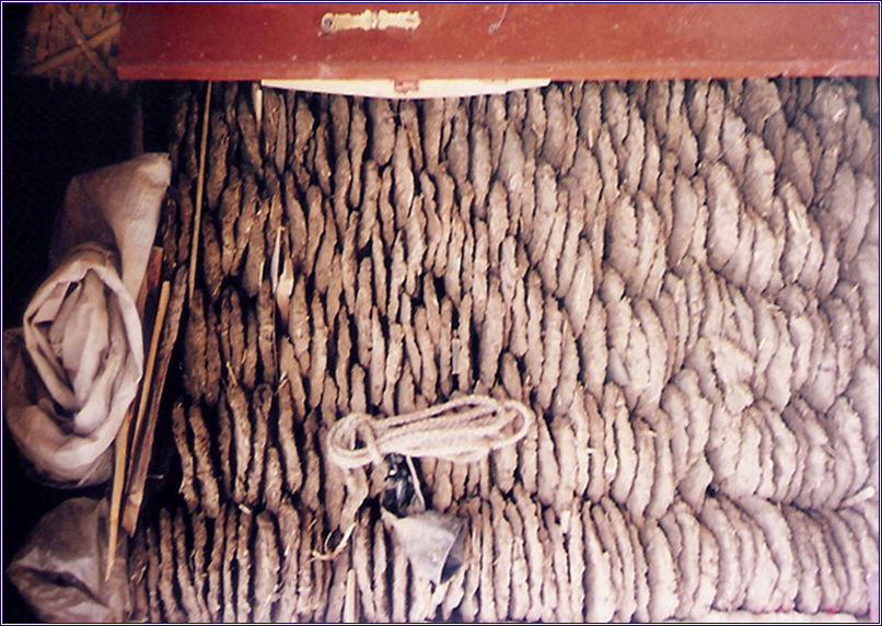 P14.jpg