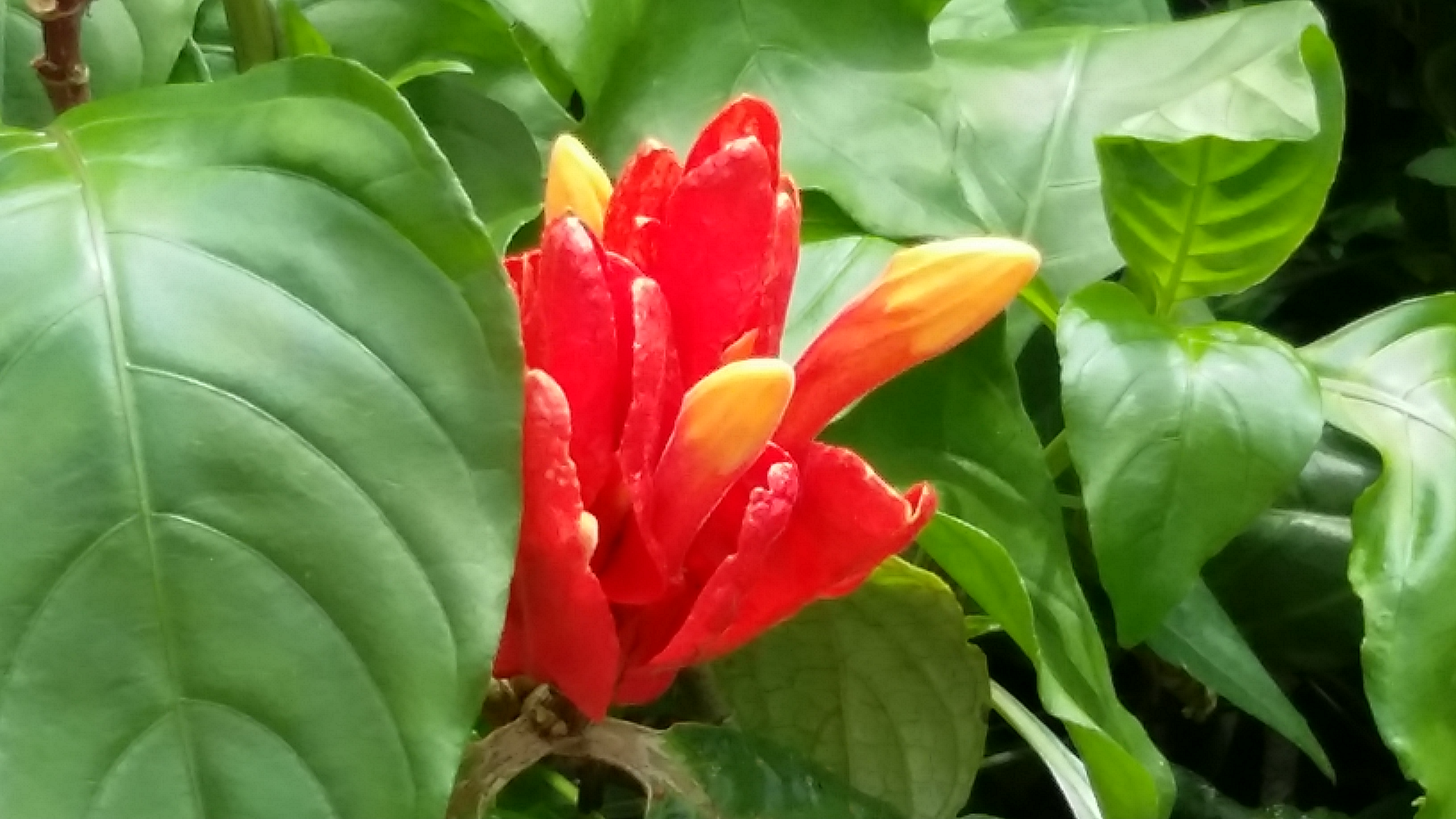 20150322_134805.jpg
