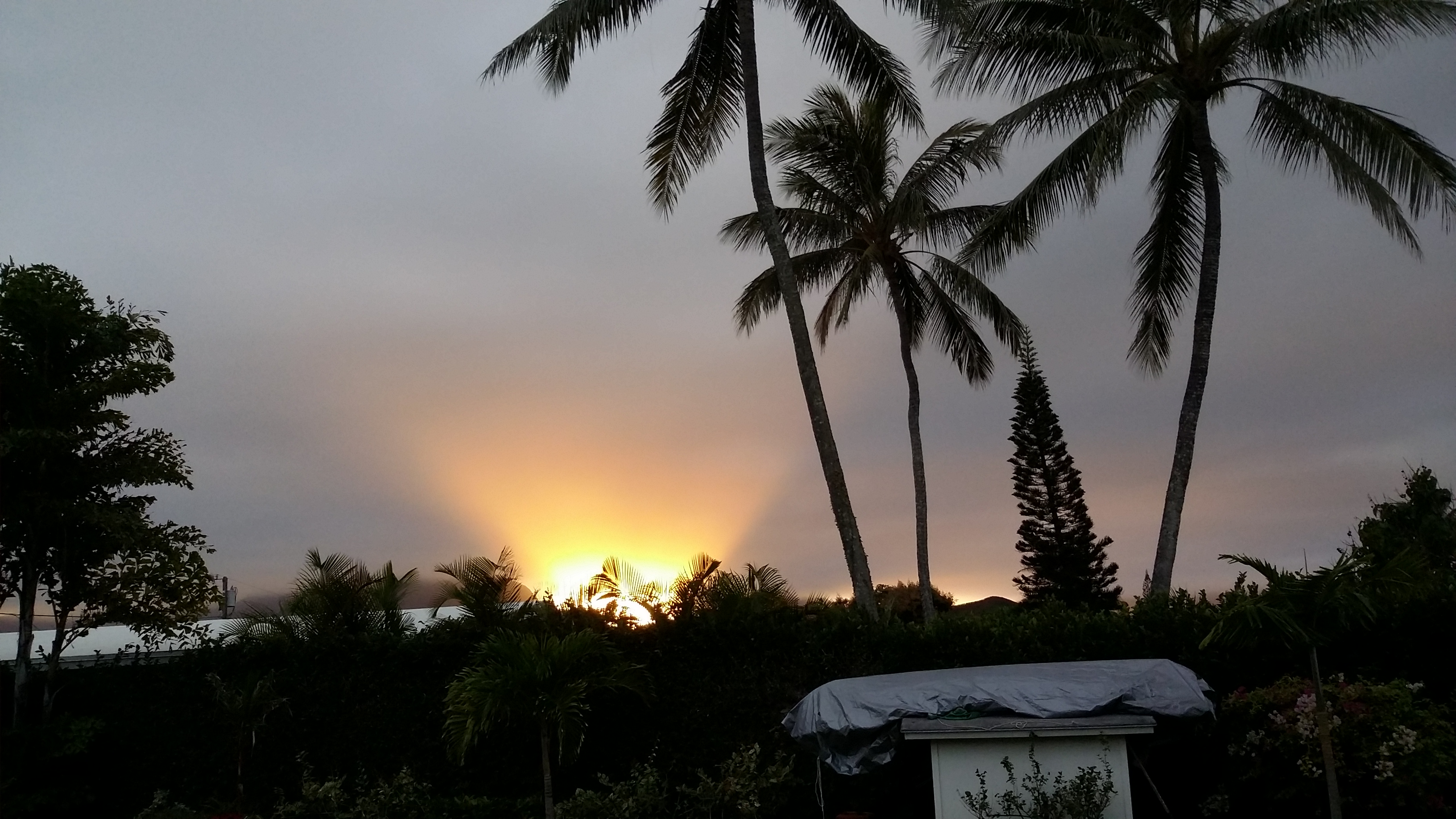 20150130_180607.jpg