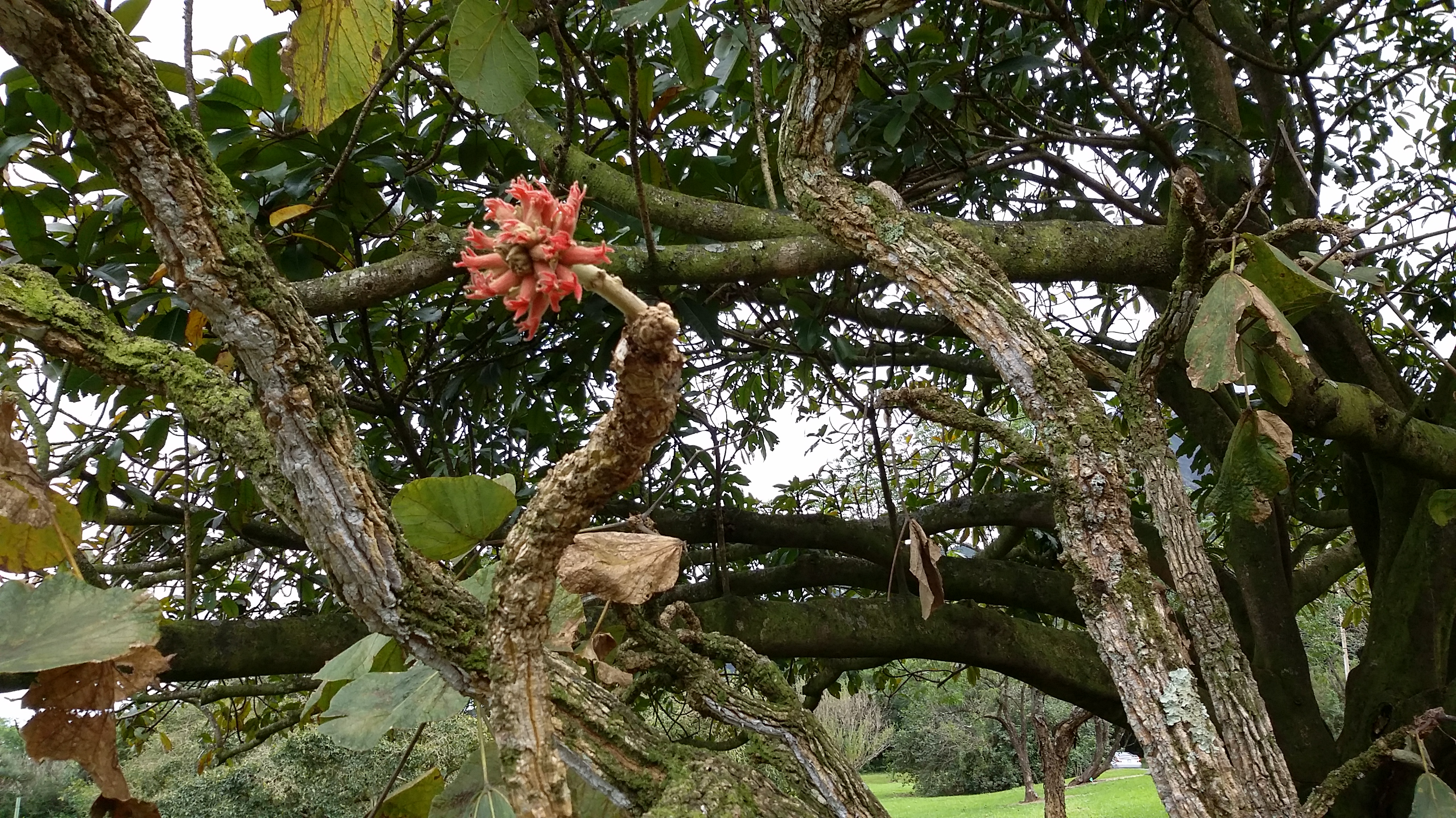 20150131_142315.jpg