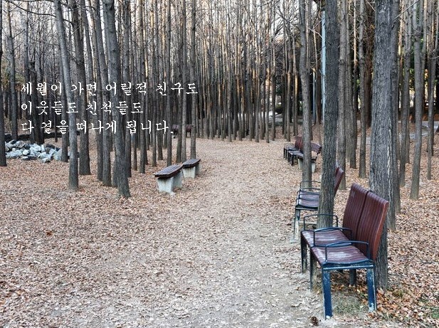 쓸쓸히. jpg 모두 떠나고 (3).jpg