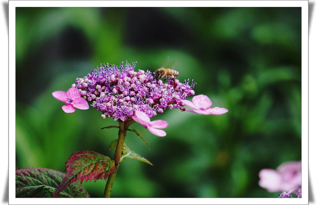 1_1_DSC03886 (1).JPG