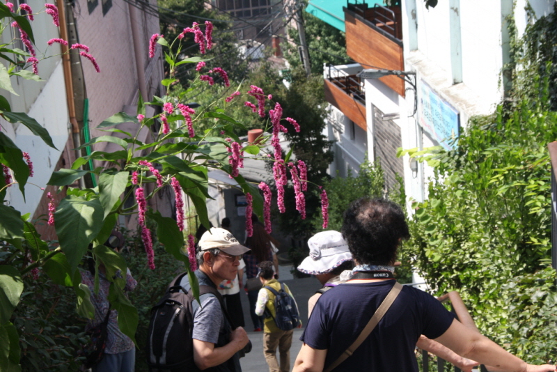 줄여서내보내기_줄여서내보내기_IMG_6816.JPG