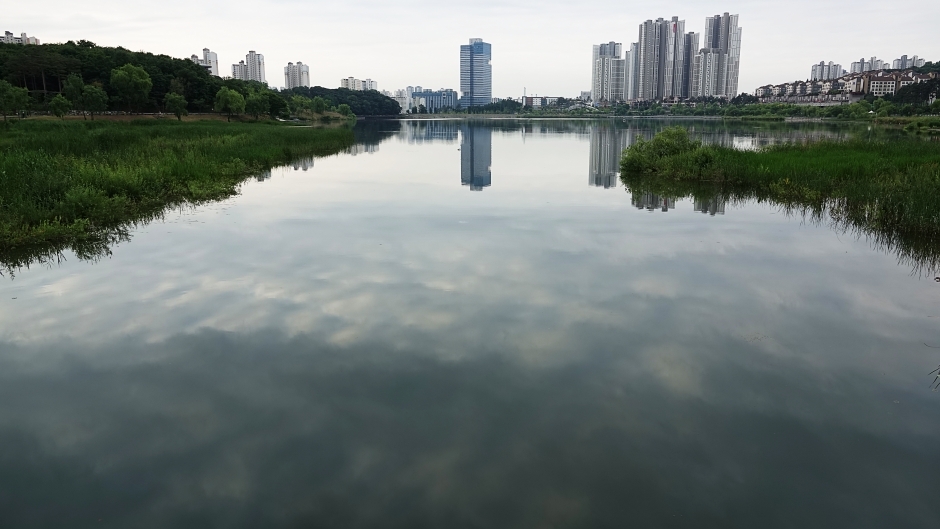 광 038.JPG