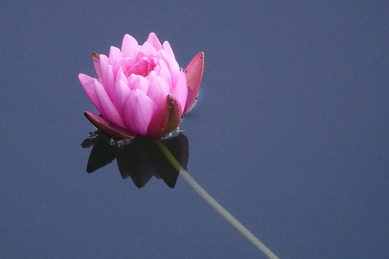 광 015.JPG