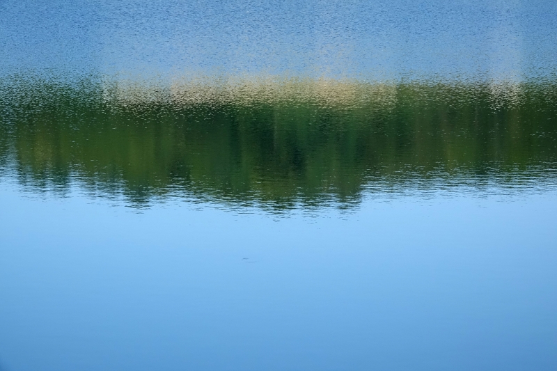 광 029.JPG