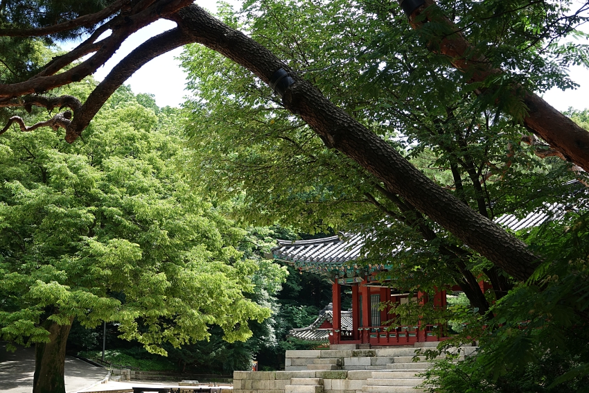 창 030.JPG