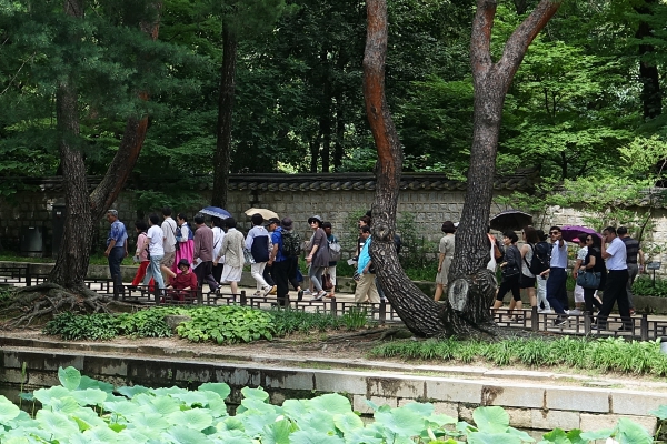 DSC03729.JPG