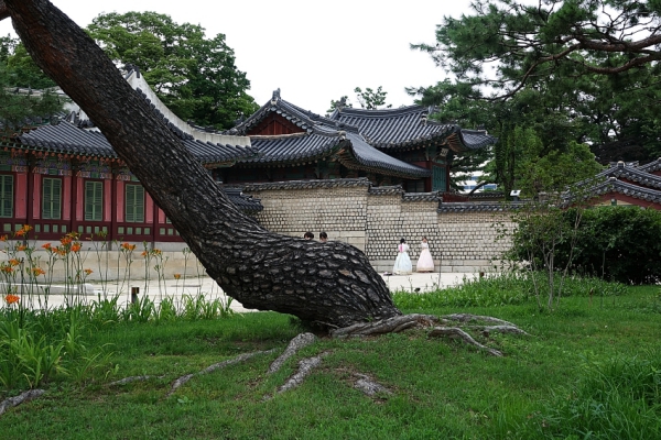 창 040 0.JPG