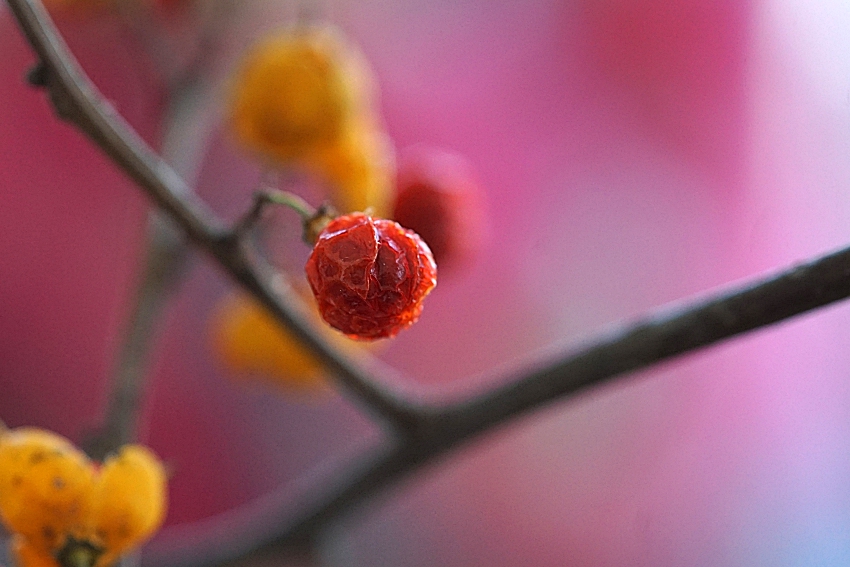 찐 011 0.JPG