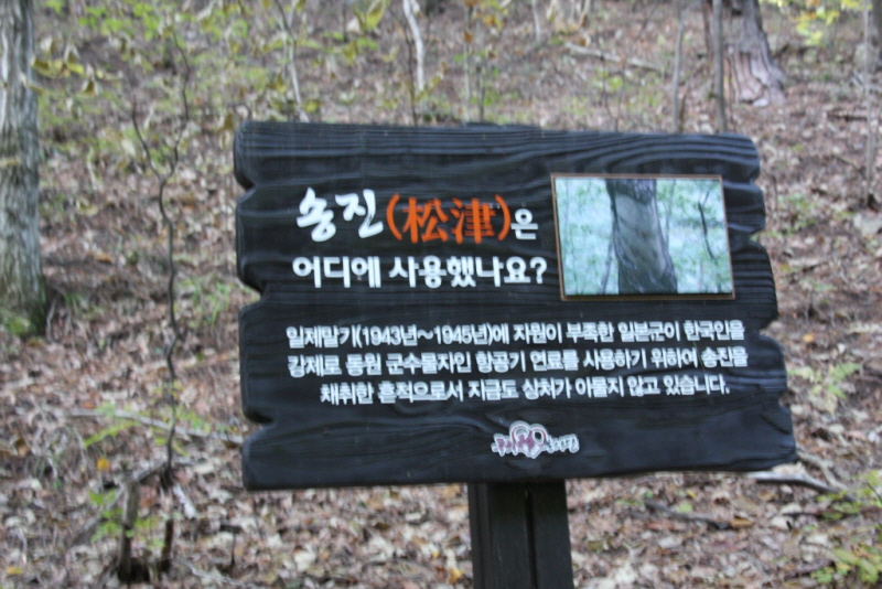 꾸미기_꾸미기_IMG_3347.JPG