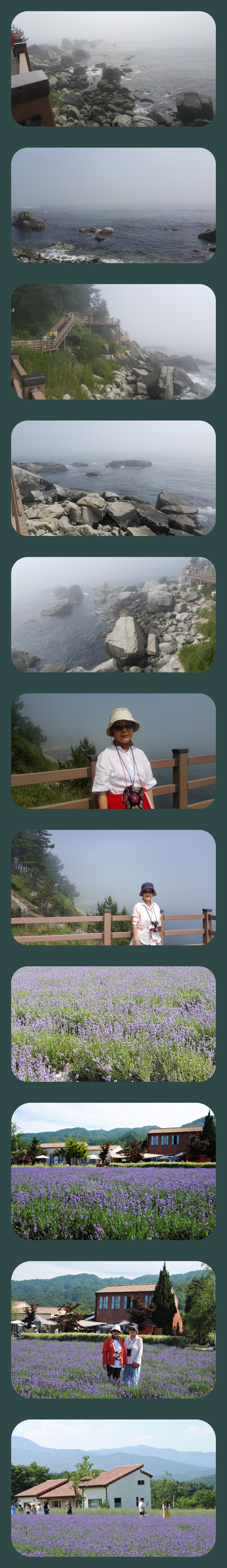 외홍치향바닷길과 고성라벤다팜18618.jpg