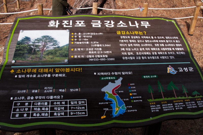 꾸미기_꾸미기_AIMG_8902.jpg