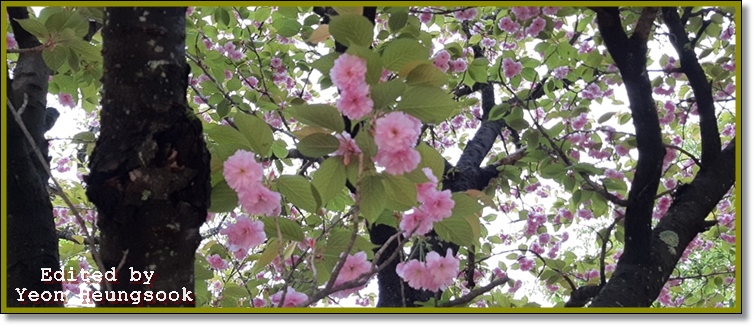 20190424_110117pp.jpg