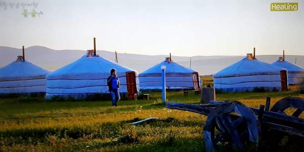20180808_204712-crop.jpg