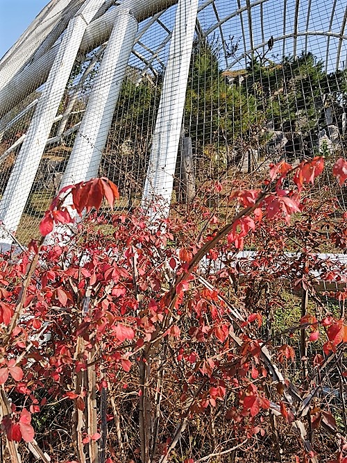 새20171105_142039.jpg
