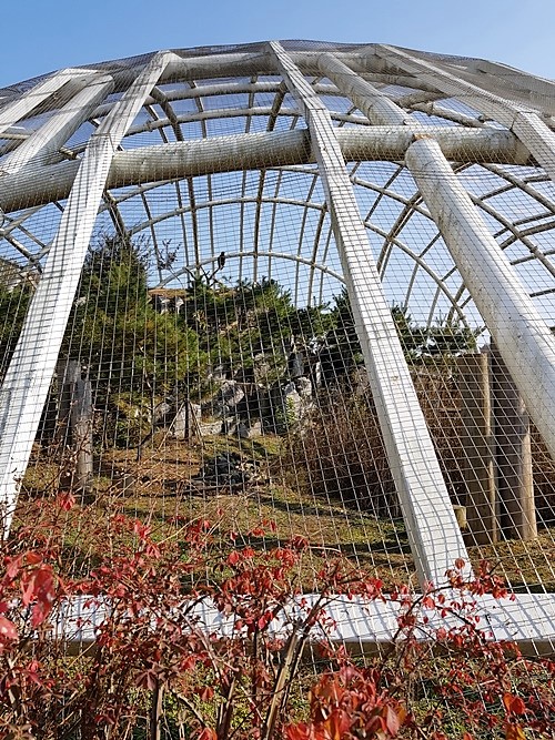 새20171105_142033.jpg