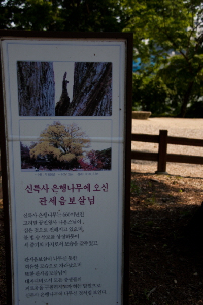 꾸미기_꾸미기_AIMG_1684.jpg
