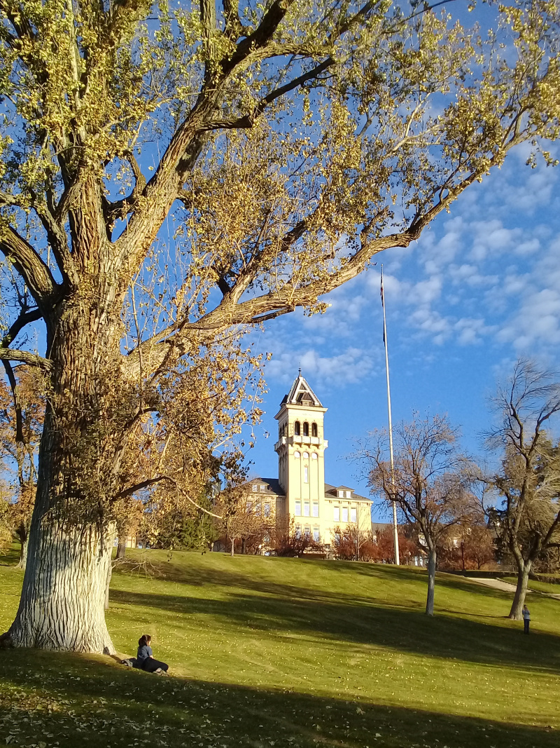 20191115_160829.jpg
