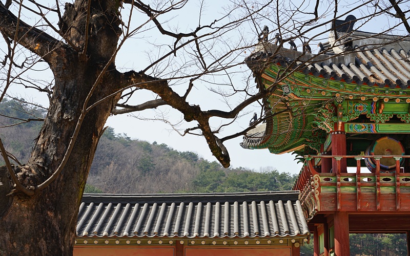 화 078.JPG