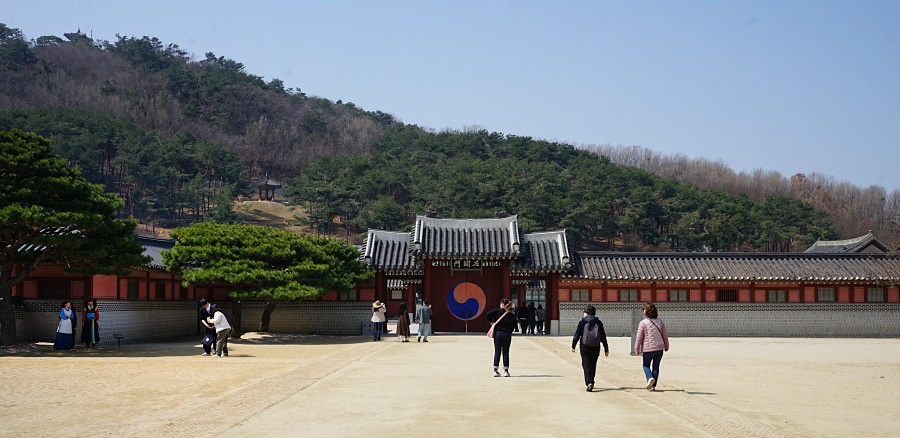 화 0114.JPG