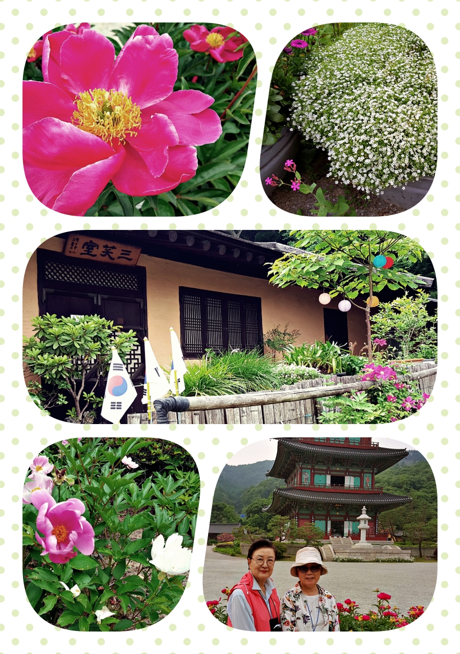 collage2.jpg