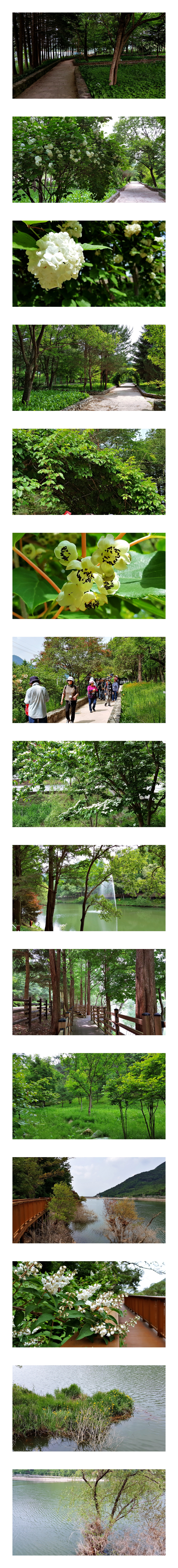 미동산수목원180529.jpg