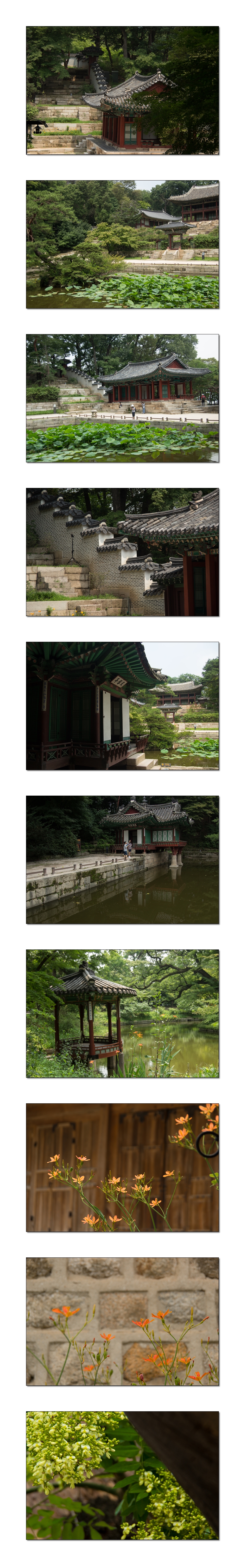 창덕궁.jpg