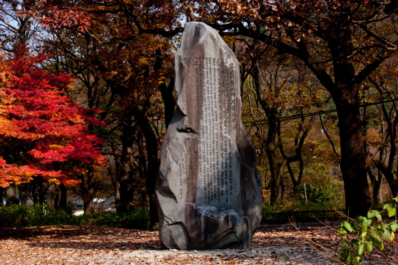 꾸미기_꾸미기_AIMG_1906 - 복사본.jpg