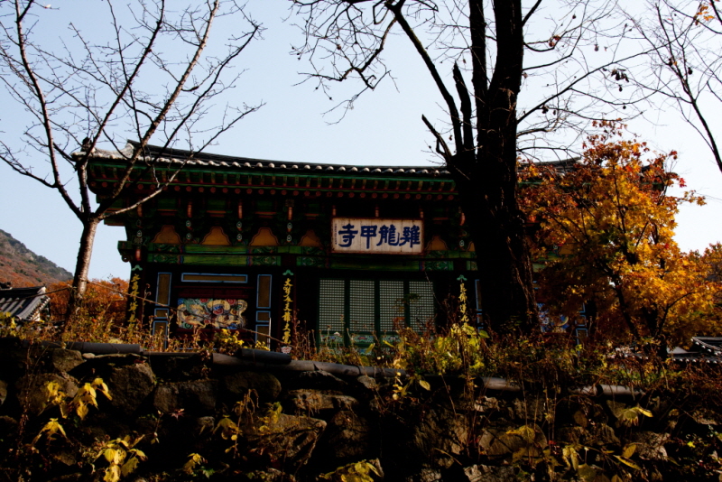 꾸미기_꾸미기_AIMG_1977 - 복사본.jpg