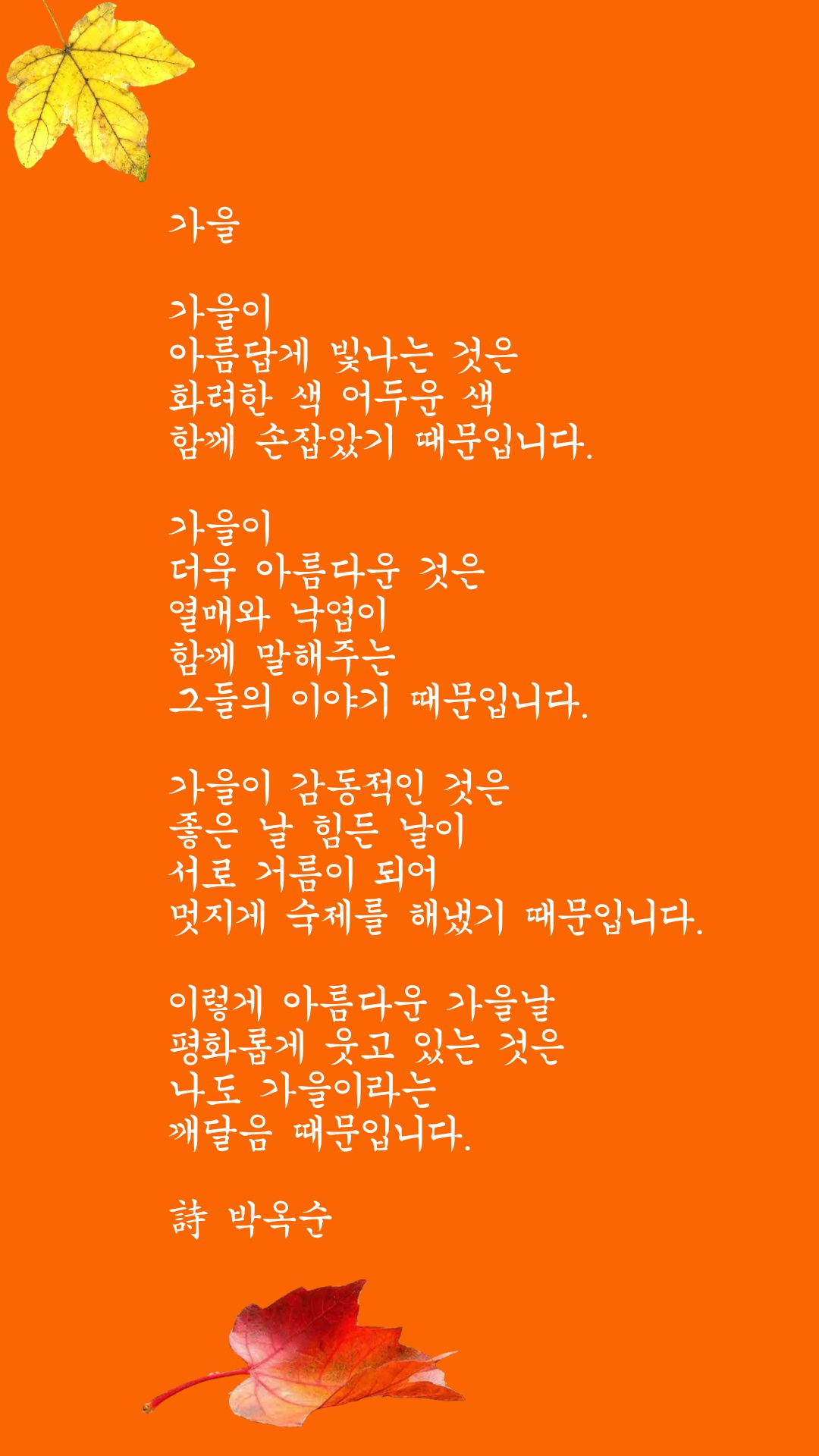 가을01.jpg