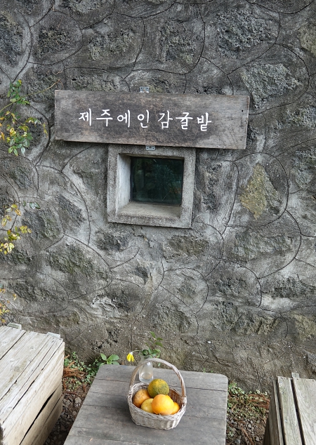 DSC01293.JPG