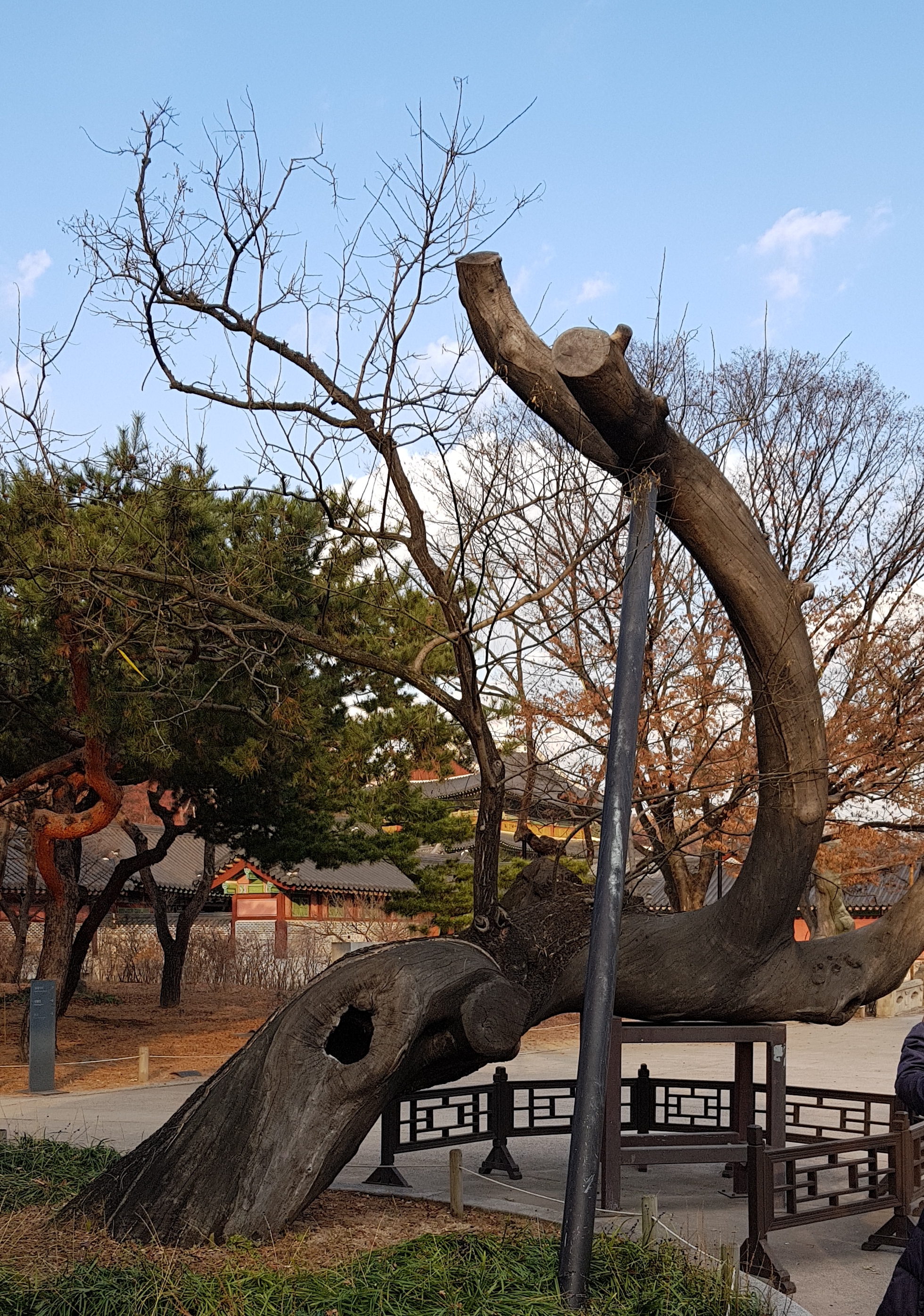 20191204_163436.jpg